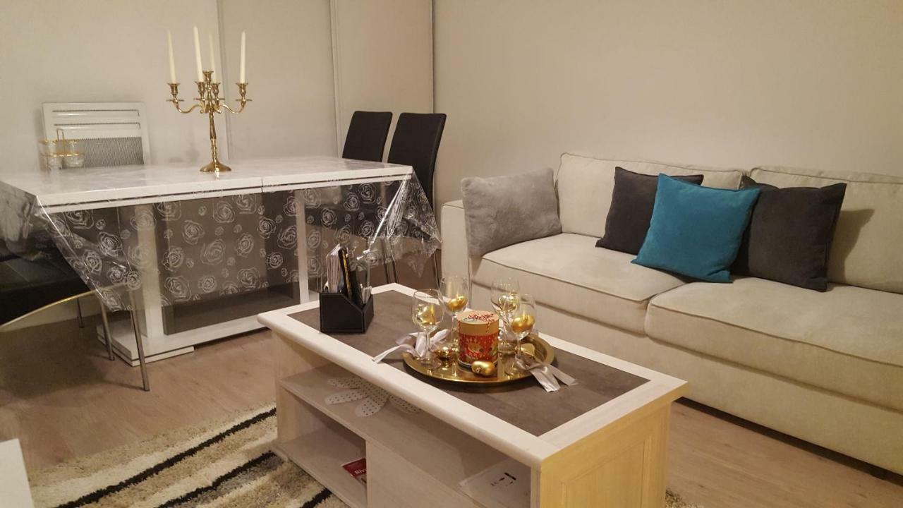 Appartement Spacieux Avec Terrasse Pres De Paris Et Du Stade De France Saint-Denis  Luaran gambar