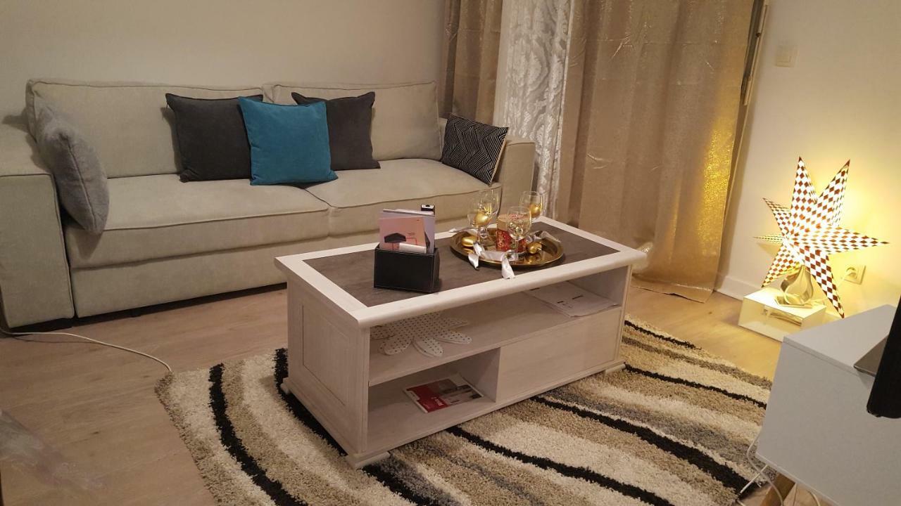 Appartement Spacieux Avec Terrasse Pres De Paris Et Du Stade De France Saint-Denis  Luaran gambar
